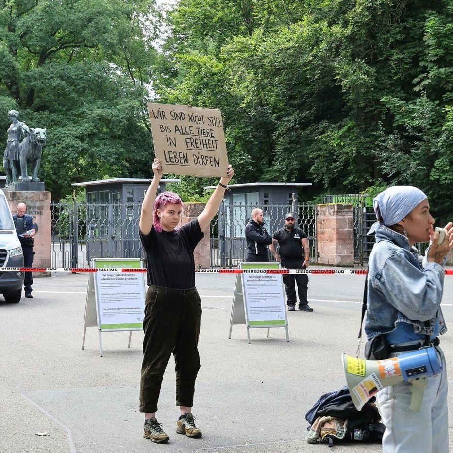 A German zoo faces a backlash after killing 12 healthy baboons